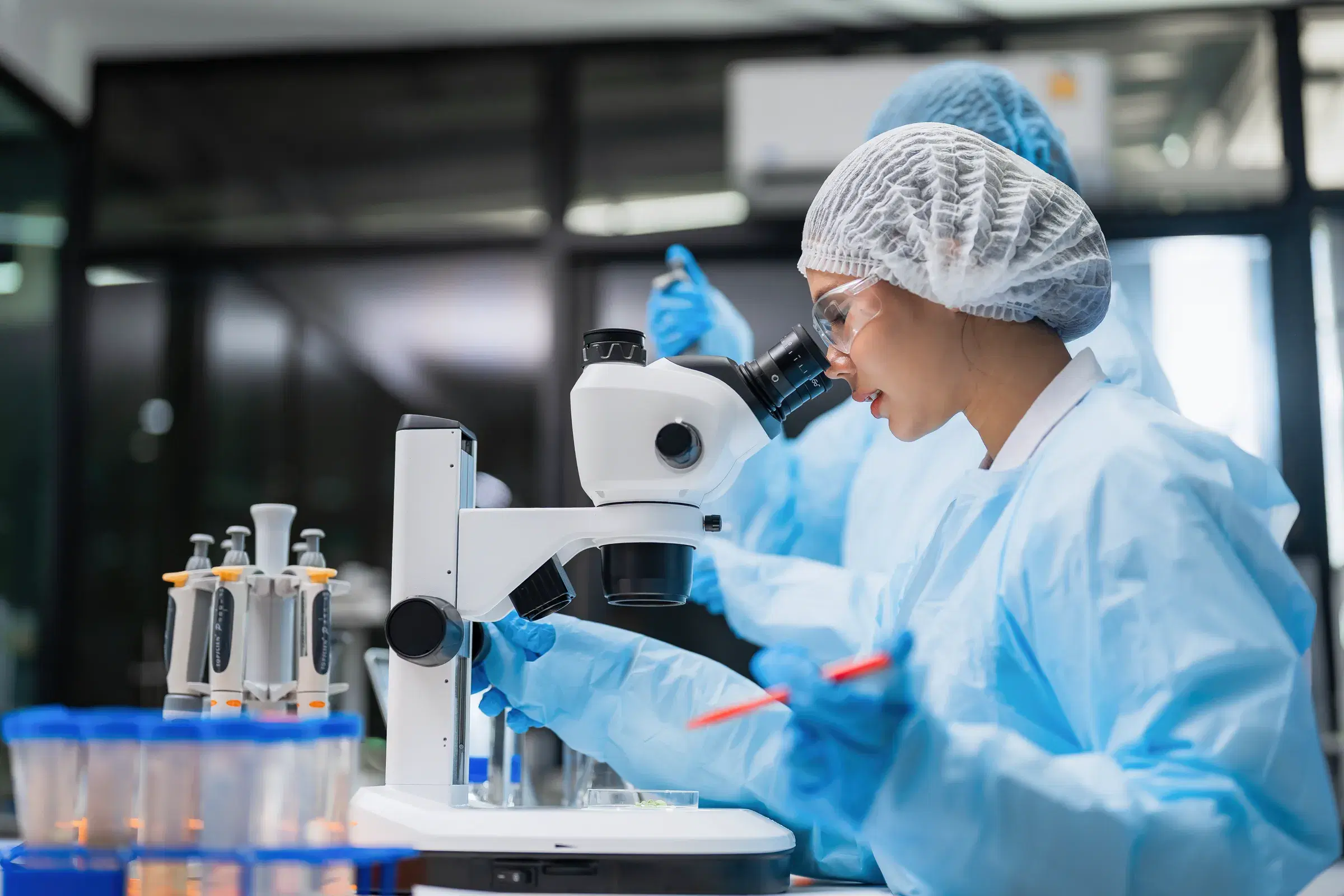 A scientist at a stereo microscope in a laboratory, working in protective gear.