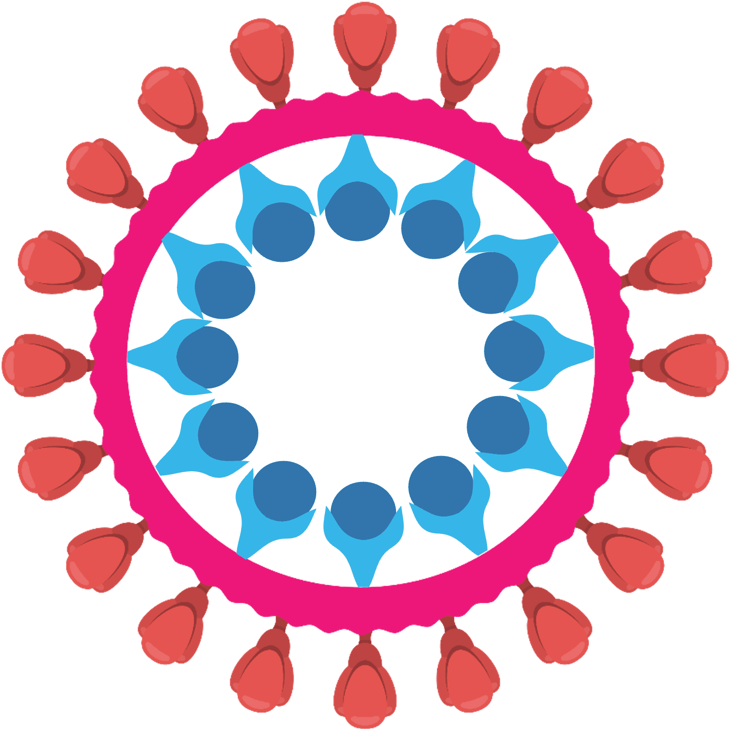 A TRAP-cage: antigens mounted inside and out.